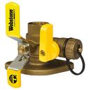 Webstone a brand of NIBCO Forged Brass Full Port FIPS x Flanged 600# Ball Valve 