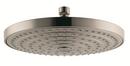 Dual Function Showerhead in Brushed Nickel