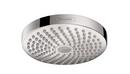 Dual Function Showerhead in Polished Chrome