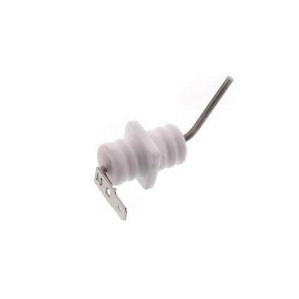 Flame Rod Kit for R94LSe Tankless Water Heater | Rinnai | Ferguson