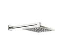 Single Function Showerhead in Brushed Platinum