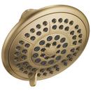 Multi Function Showerhead in Brilliance® Champagne Bronze