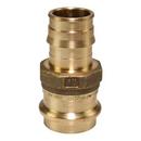1 in. Brass PEX Expansion x Copper Press Adapter