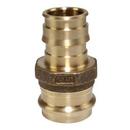 1-1/4 in. Brass PEX Expansion x Copper Press Adapter