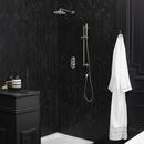 DXV Polished Chrome Showerhead 