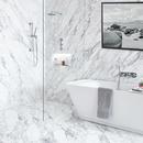 DXV Polished Chrome Showerhead 