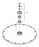 GROHE StarLight&reg; Chrome Single Function Rain Showerhead 