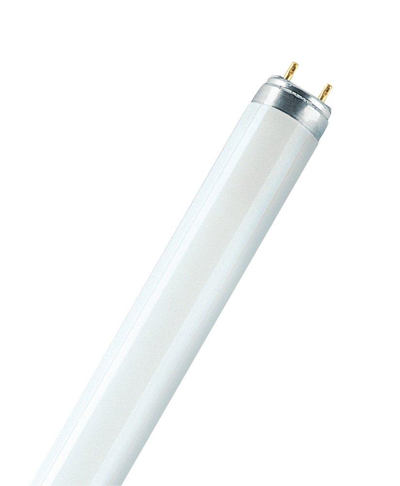 Sylvania T8 Fluorescent Light Bulb with Bi-Pin Base (Pack of 30) 