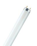 Sylvania T8 Fluorescent Light Bulb with Bi-Pin Base (Pack of 30) 