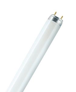 25W T8 Fluorescent Light with Medium Bi-Pin Base 4100 Kelvin Bulb (Pack of 30)