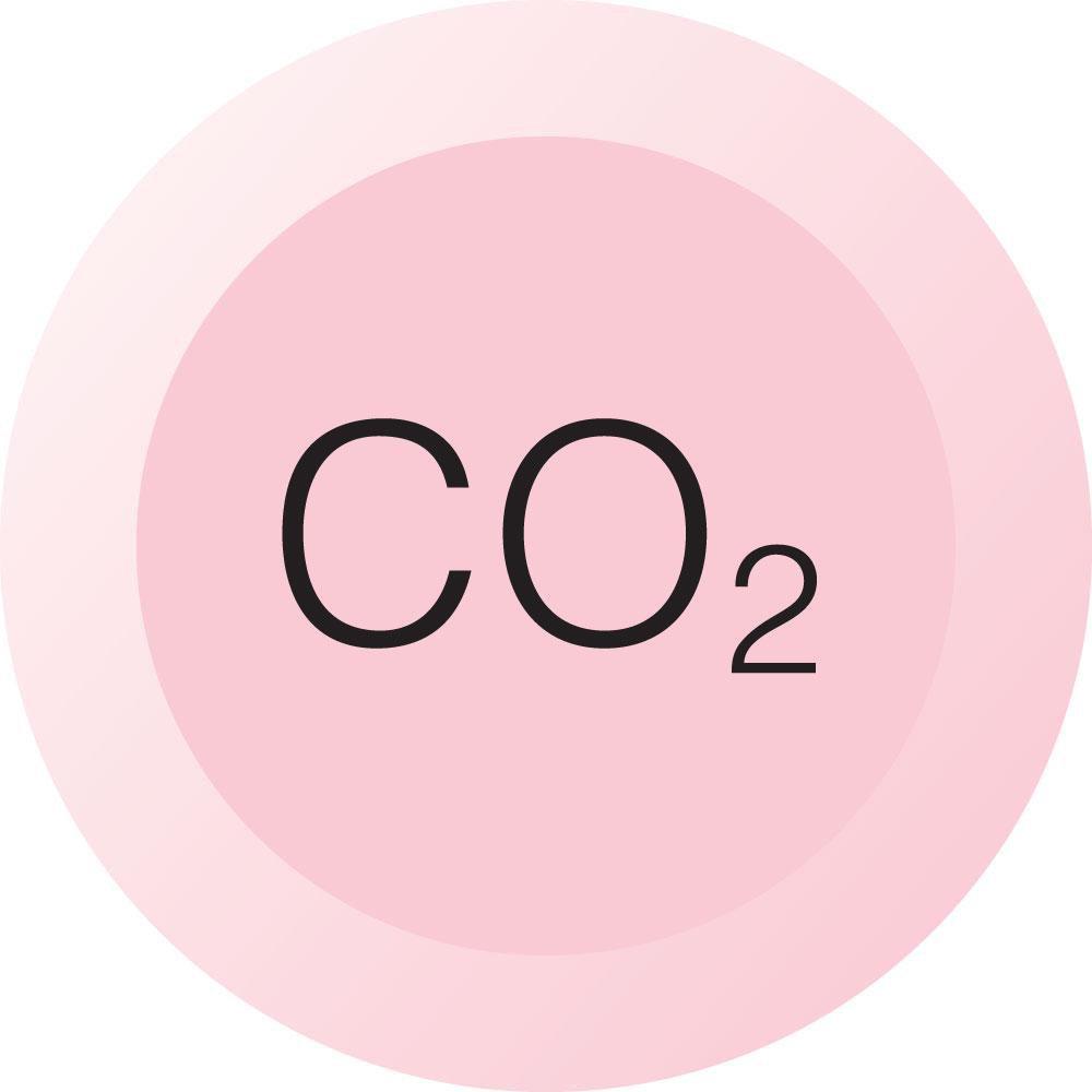 Chicago Faucets Pink BUTTON PINK W/BLACK LTRS CO2 