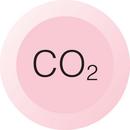 Chicago Faucets Pink BUTTON PINK W/BLACK LTRS CO2 