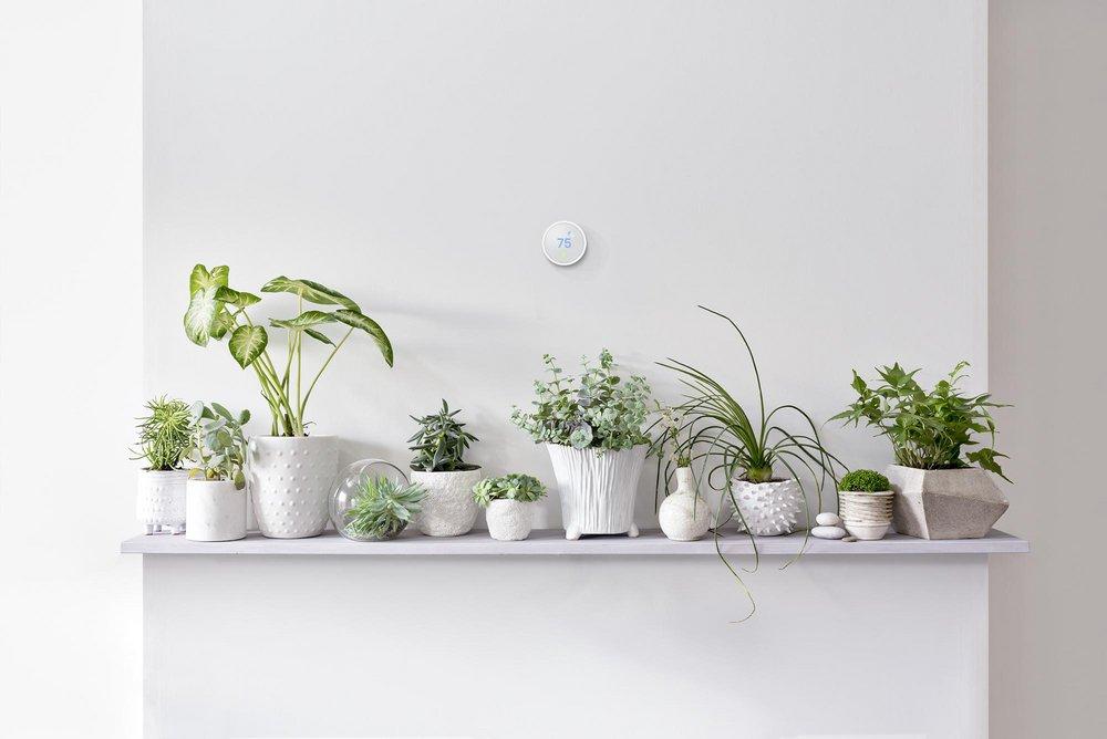 Google White Programmable Wi-fi Enabled Thermostat 