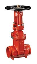 Victaulic Ductile Iron Grooved x Flanged Gate Valve 