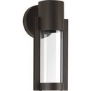 9W 1-Light LED Outdoor Wall Sconce in Antique Bronze