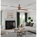 Progress Lighting Antique Bronze 13-1/8 in. 18W 3-Blade Ceiling Fan with 60 in. Blade Span and LED Light 