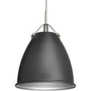 10 in. 100W 1-Light Medium E-26 Incandescent Pendant in Graphite