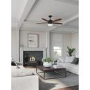 Progress Lighting Forged Black 17-1/2 in. 10W 5-Blade Ceiling Fan with 52 in. Blade Span and Incandescent Light 