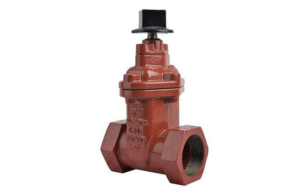 Flomatic Corp Ductile Iron FNPT Gate Valve 
