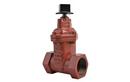 Flomatic Corp Ductile Iron FNPT Gate Valve 