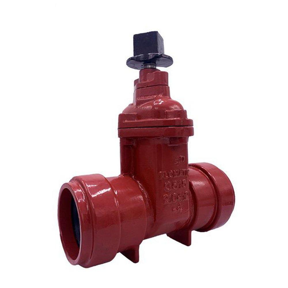 Flomatic Corp Ductile Iron Push Gate Valve 