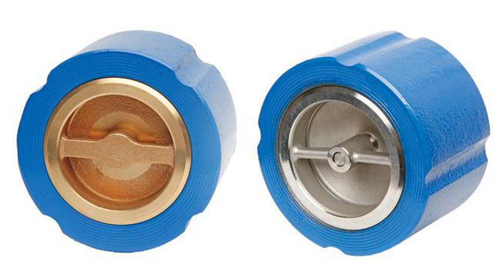 Flomatic Corp Ductile Iron Flanged Check Valve 