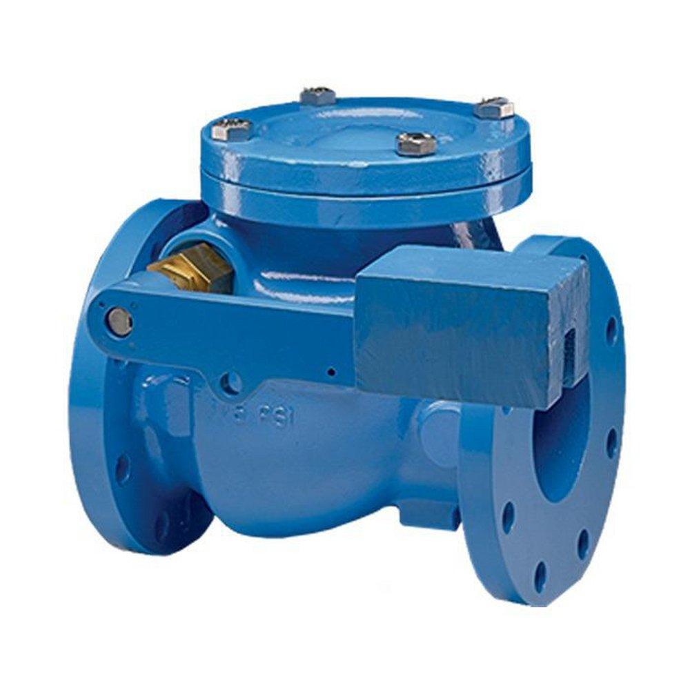 Flomatic Corp Cast Iron Flanged Check Valve 
