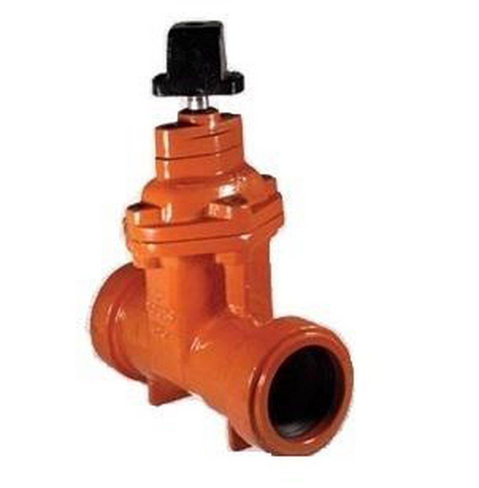 Flomatic Corp Ductile Iron Push Gate Valve 