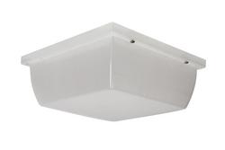 40W 2 Light LED Ceiling Mount in White