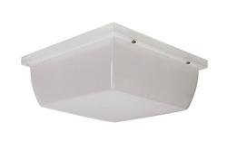 40W 2 Light LED Ceiling Mount in White