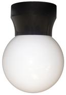 Liteco Black 6 in. 1-Light 60W Outdoor Ceiling Fixture 