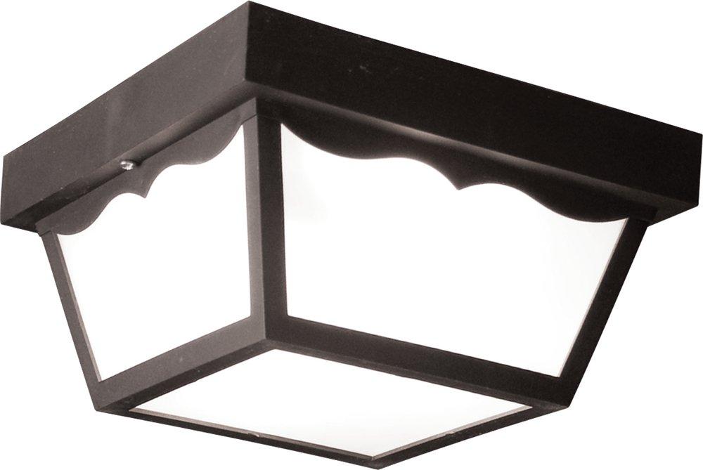 Liteco Black 2-Light 60W Non-Metallic Outdoor Celling Lighting 