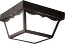 Liteco Black 2-Light 60W Non-Metallic Outdoor Celling Lighting 