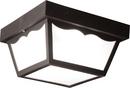 Liteco Black 2-Light 60W Non-Metallic Outdoor Celling Lighting 