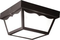 2-Light 60W Non-Metallic Outdoor Celling Lighting in Black