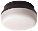 Liteco Black 14W Outdoor LED Ceiling Mount Fixture 