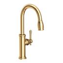 Single Handle Pull Down Kitchen Faucet in Uncoated Polished Brass - Living