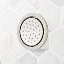 Signature Hardware Brushed Nickel Single Function Body Spray 