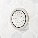 Signature Hardware Brushed Nickel Single Function Body Spray 