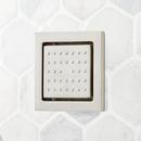 Signature Hardware Brushed Nickel Single Function Body Spray 