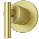 Single Handle Diverter Valve Trim in Brushed Gold