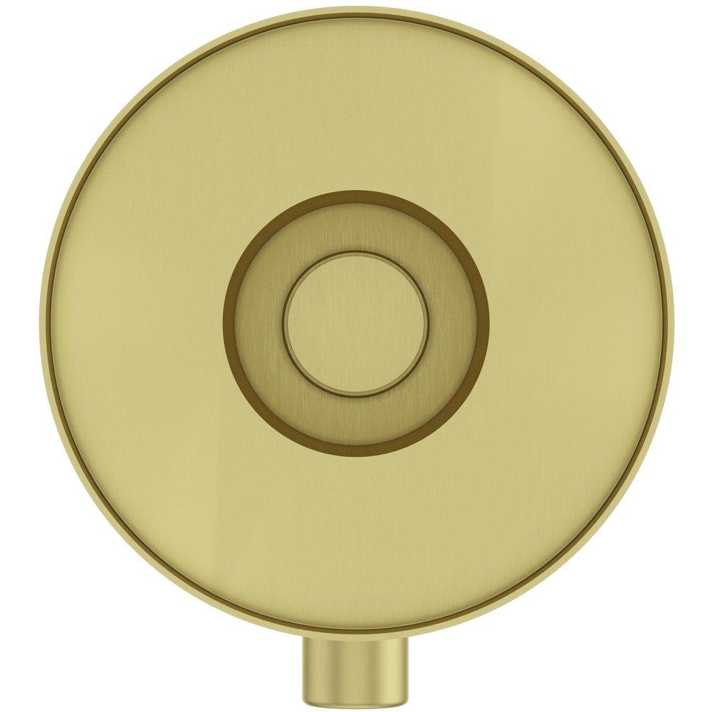 Pfister Brushed Gold Diverter Trim 