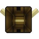 Pfister Brushed Gold 2-Hook Robe Hook 