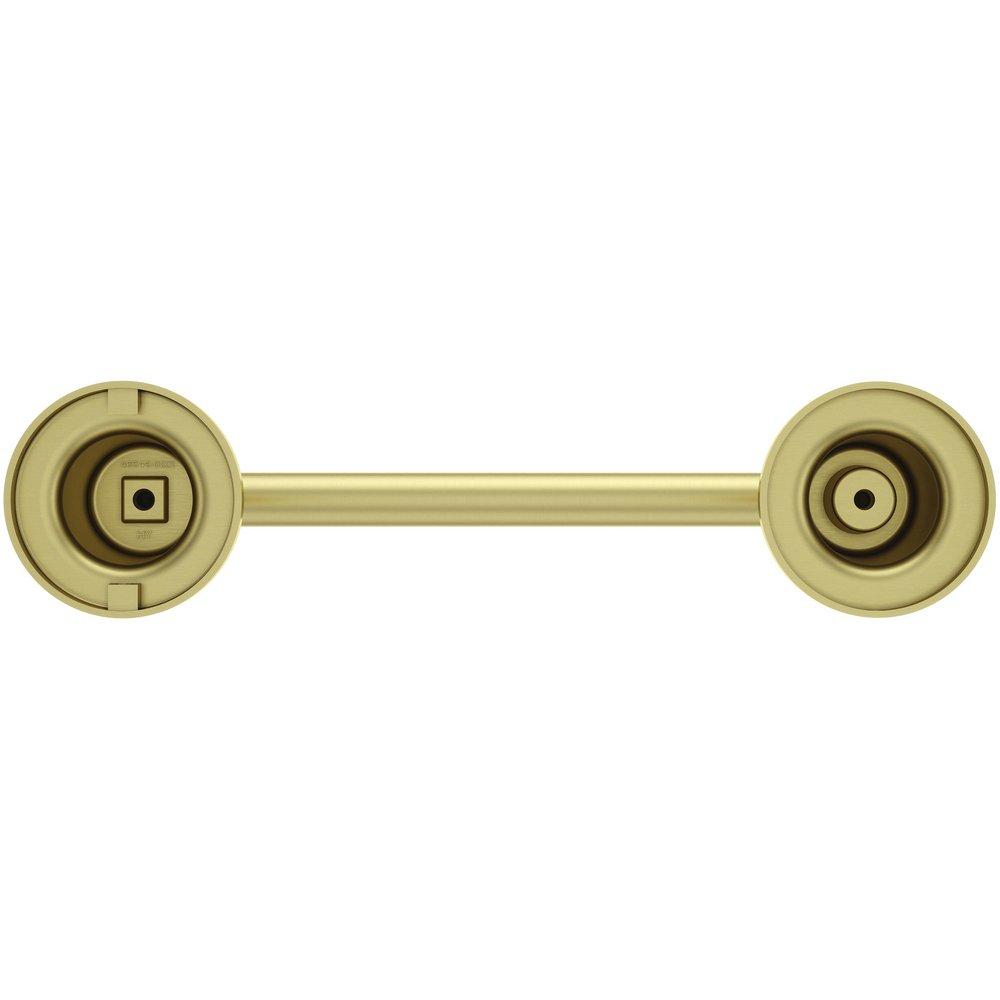 Pfister Brushed Gold Concealed Mount and Wall Mount Toilet Tissue Holder 