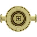 Pfister Brushed Gold 2 Robe Hook 