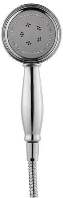 Pfister Polished Chrome Multi Function Hand Shower 