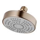 Pfister Brushed Nickel Single Function Showerhead 