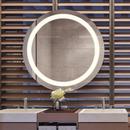 Robern Warm White 40 in. Anodized Aluminum Frameless Round Mirror with Light Inset 