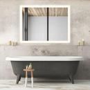Robern 1-3/4 in. Mirror Rectangular 