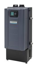 Weil-McLain Slate Grey Residential Water Boiler Natural Gas 